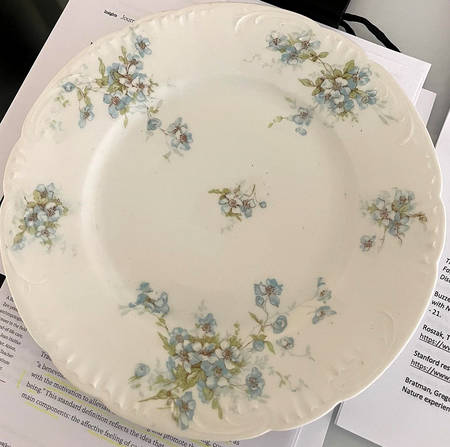 Schleiger 162m Luncheon Plate