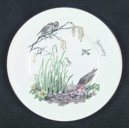 Country Diary of An Edwardian Lad Salad Plate