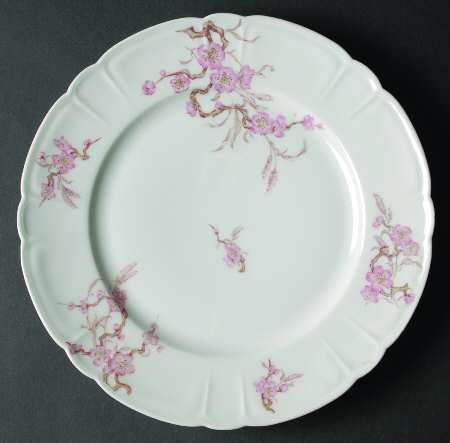 Schleiger 222E by Haviland