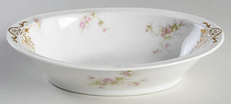 Schleiger 223d by Haviland