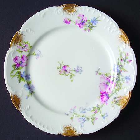 Schleiger 224k by Haviland