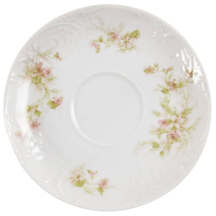 Schleiger 231e Saucer