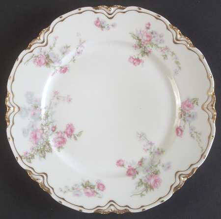 Schleiger 261f by Haviland