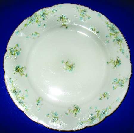 Schleiger 262f by Haviland