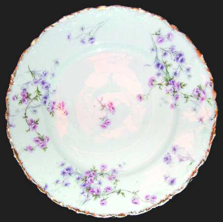Schleiger 309e by Haviland