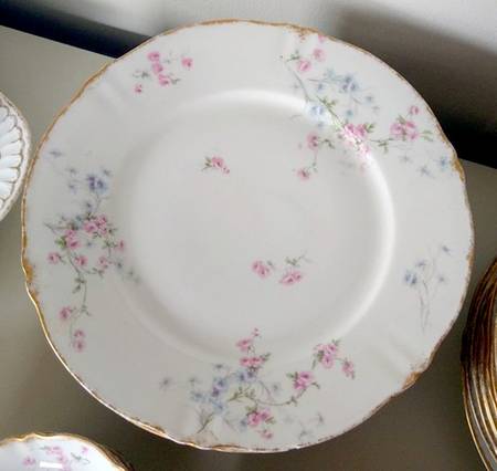 Schleiger 309i by Haviland