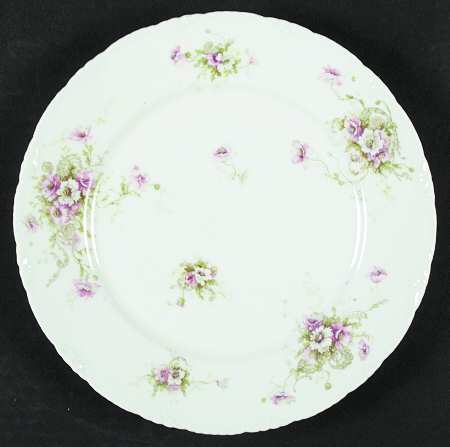 Schleiger 313c by Haviland