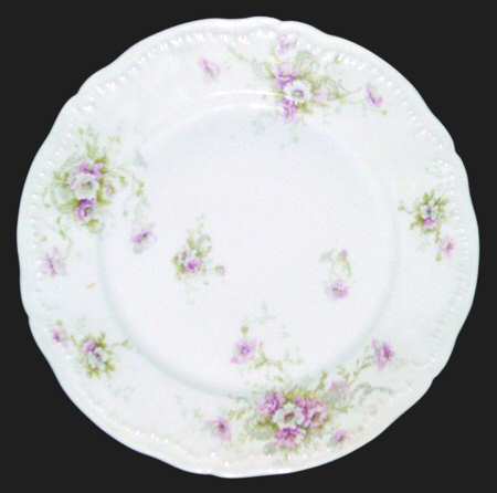 Schleiger 313E by Haviland