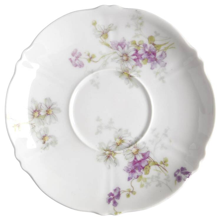 Schleiger 331G Saucer