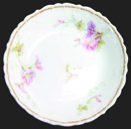 Schleiger 333m by Haviland
