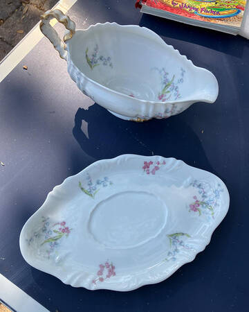 Schleiger 336C by Haviland