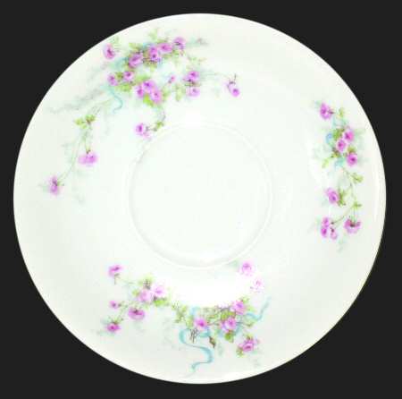 Schleiger 342L Saucer