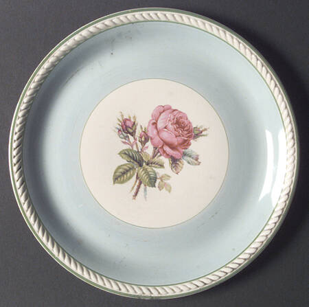 HLC1823 by Homer Laughlin 