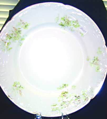 Schleiger 138E by Haviland
