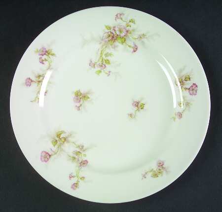 Schleiger 1160a by Haviland