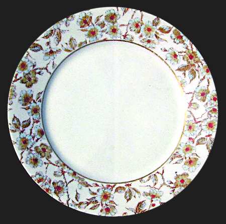 Schleiger 1187a by Haviland