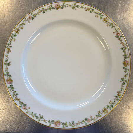 Schleiger 542a by Haviland
