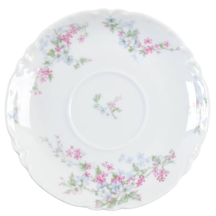 Schleiger 455b Saucer
