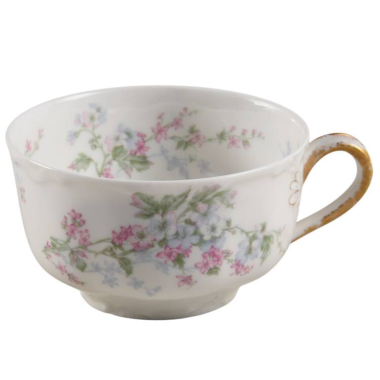 Schleiger 455b Flat Cup