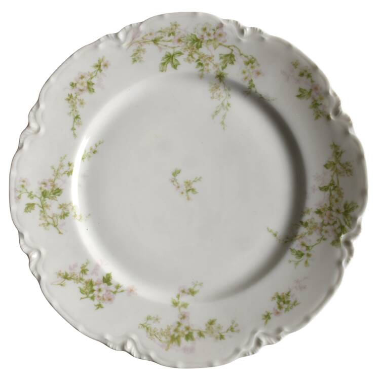 Schleiger 455c by Haviland