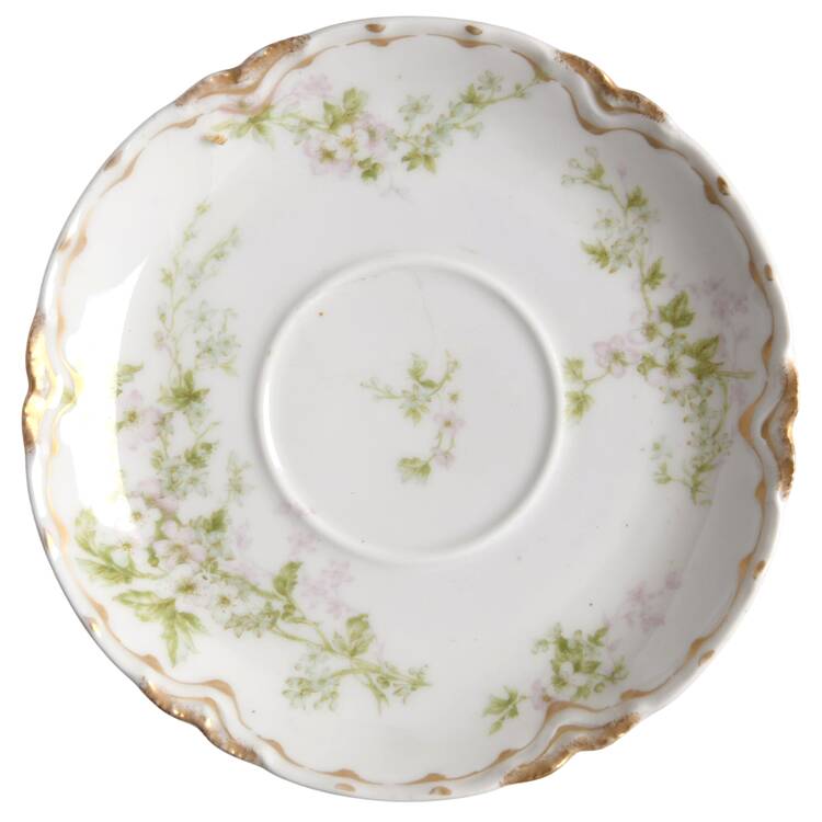 Schleiger 455F Saucer