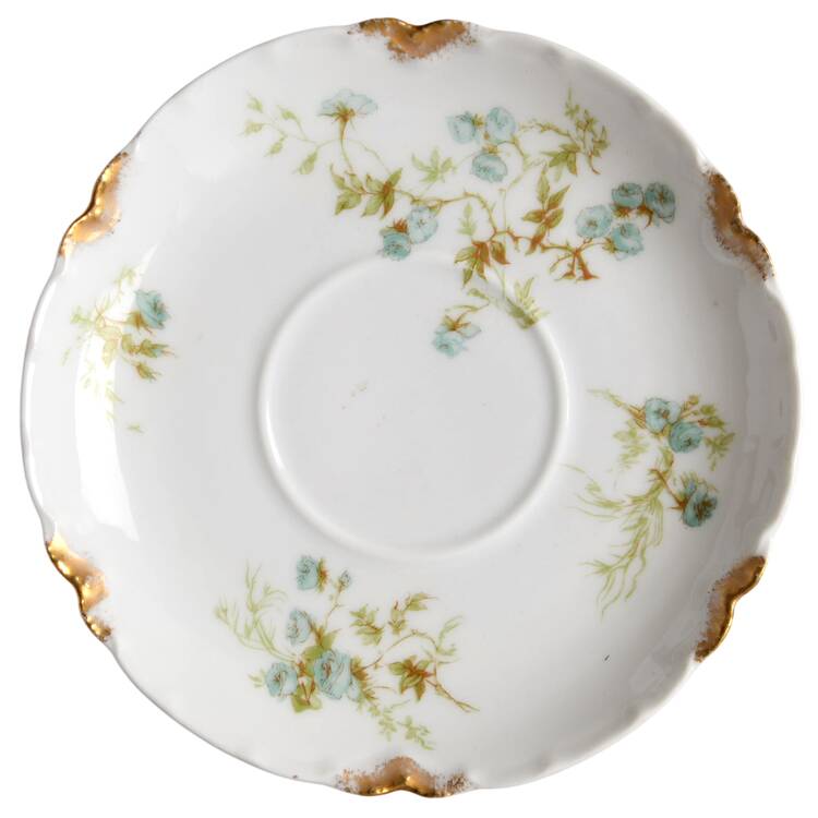 Schleiger 459 Saucer