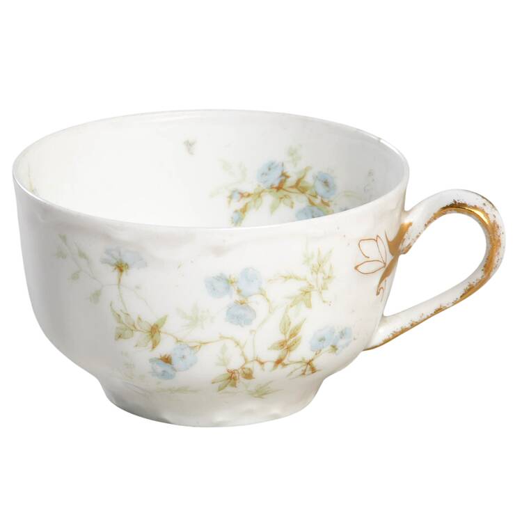 Schleiger 459H Flat Cup