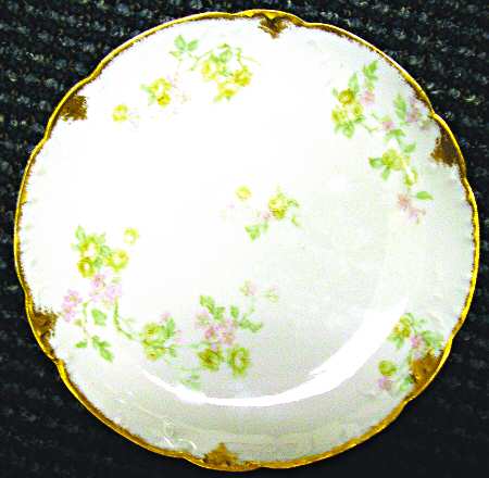 Schleiger 461 by Haviland