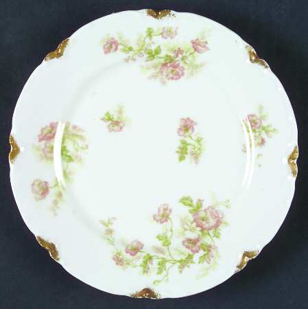 Schleiger 466b by Haviland