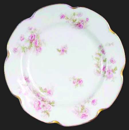 Schleiger 466c by Haviland