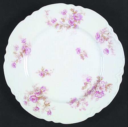 Schleiger 466f by Haviland