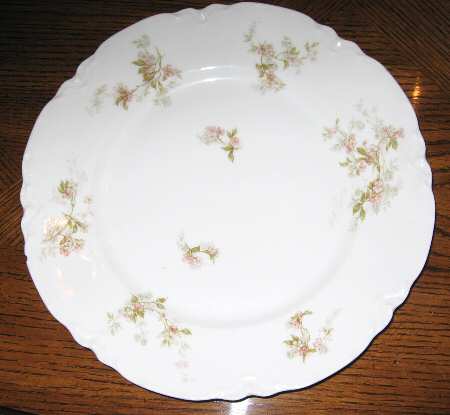 Schleiger 467a by Haviland