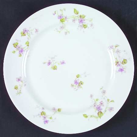 Schleiger 473a by Haviland