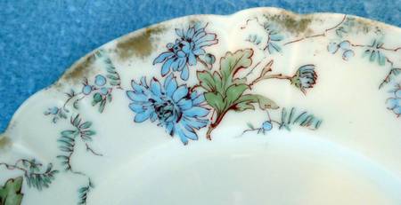 Schleiger 478 by Haviland