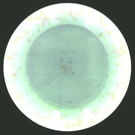 H1382 by Haviland