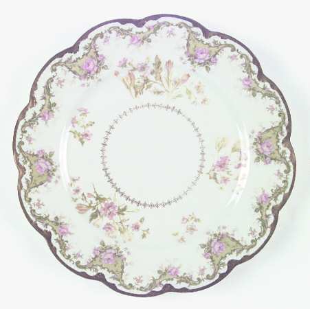 Schleiger 484b by Haviland