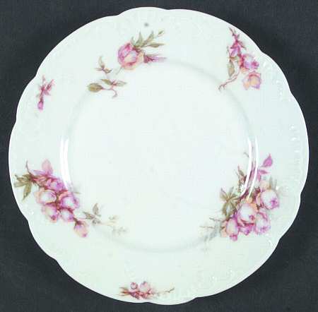 Schleiger 655-2 by Haviland