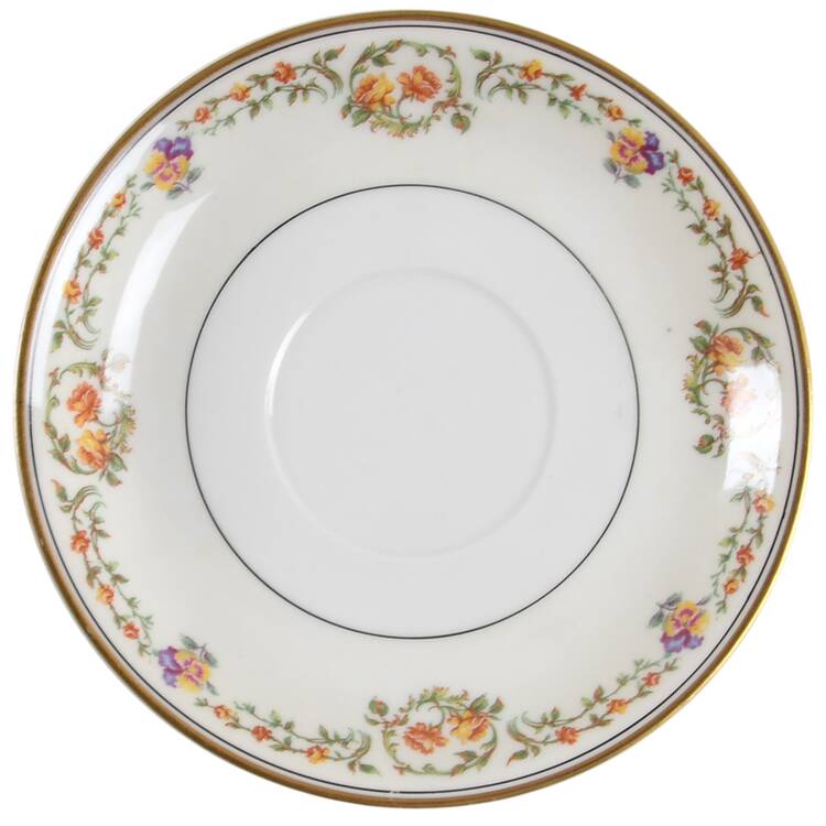Schleiger 534C Saucer