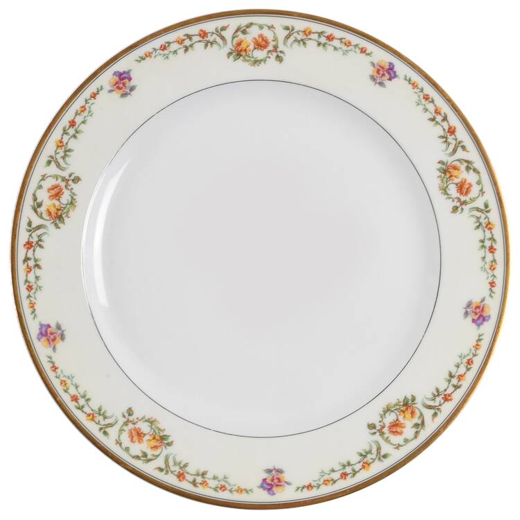 Schleiger 534C Luncheon Plate by Haviland