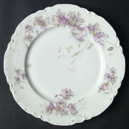 Schleiger 656c by Haviland