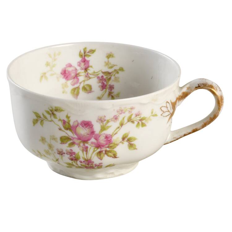 Schleiger 666a Flat Cup