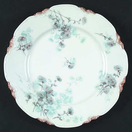 Schleiger 676b by Haviland