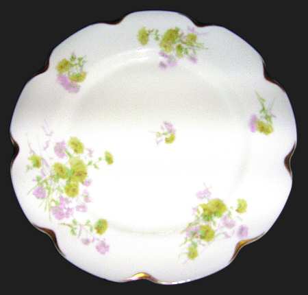 Schleiger 676c by Haviland