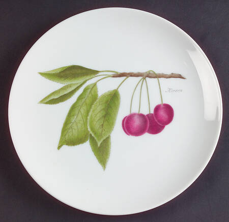 HUT893 Salad Plate