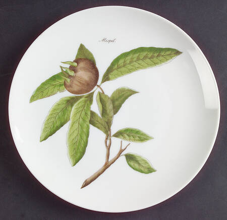 HUT893 Salad Plate