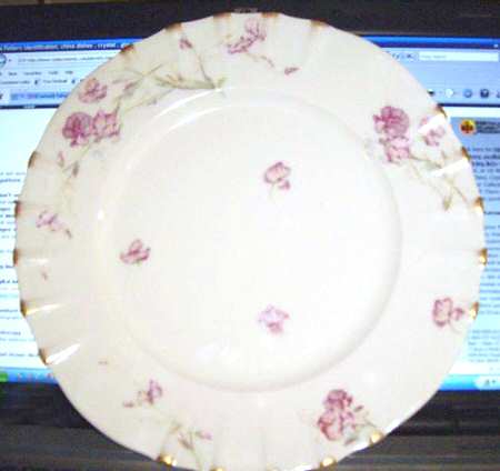 Schleiger 835 by Haviland