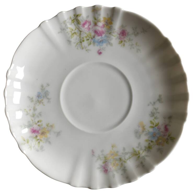 Schleiger 838a Saucer