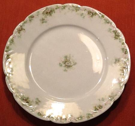 Schleiger 855d by Haviland
