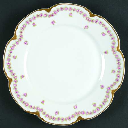 Schleiger 873a by Haviland