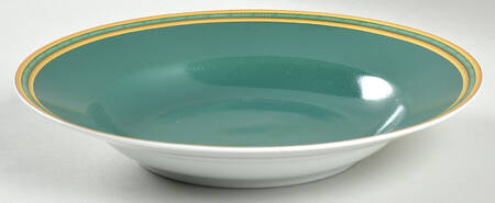 Toucans Green Large Rim Soup Bowl